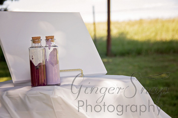 Jillian & Shay's Wedding Day